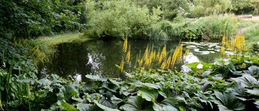 One of the ponds