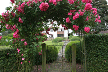 Rose arch in Garden
